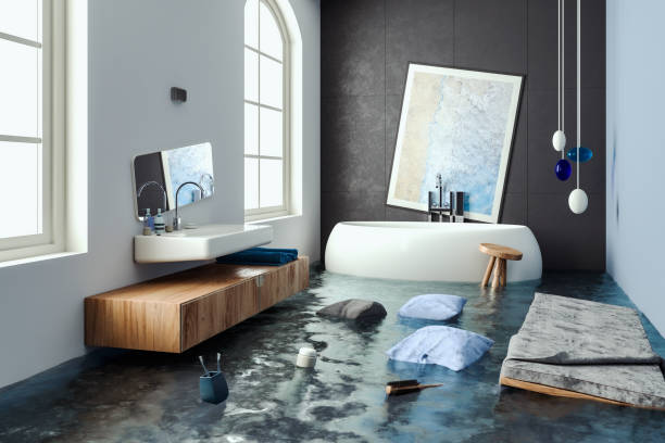Best Local water damage restoration  in Hebron, MD