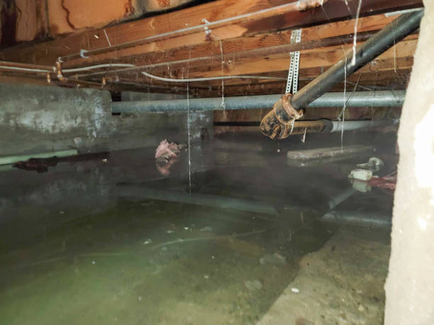 Best Water damage contractors near me  in Hebron, MD