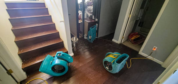 Best Water damage restoration company  in Hebron, MD