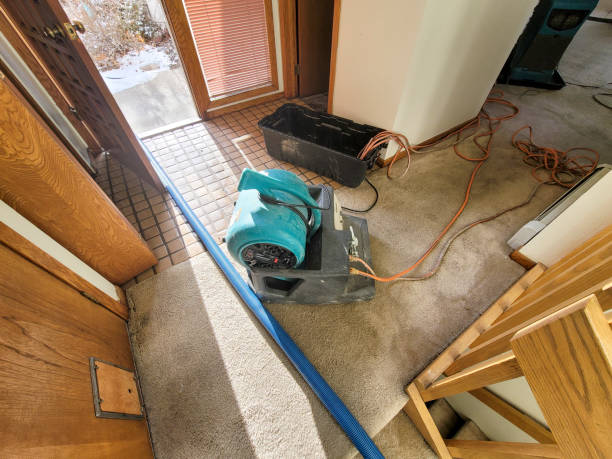 Water damage restoration mold remediation in Hebron, MD