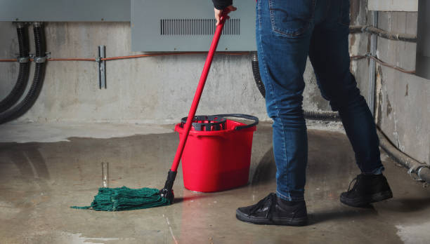 Best Professional water damage repair  in Hebron, MD
