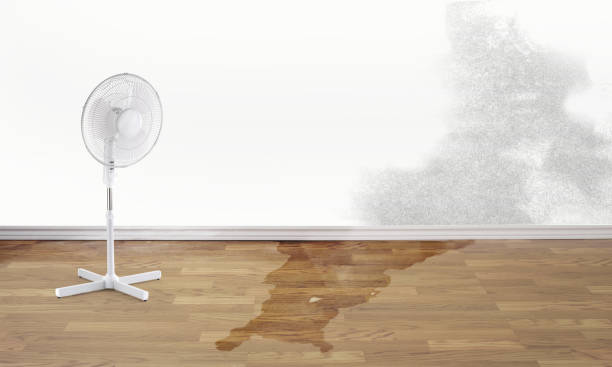Best Water damage restoration insurance claims  in Hebron, MD