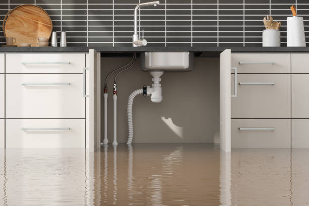 Best Sewage cleanup and water damage restoration  in Hebron, MD