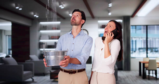 Best Flood damage cleanup  in Hebron, MD