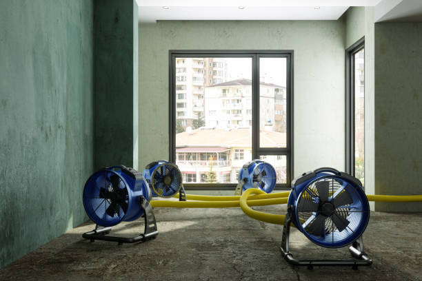 Best Commercial water damage restoration  in Hebron, MD